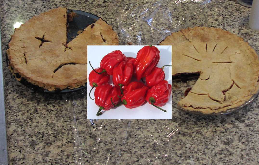 Hot Cherry Pies